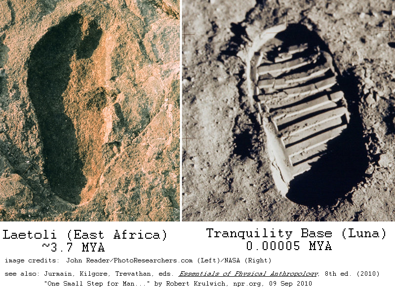 footprints at Laetoli and on Luna, side by side